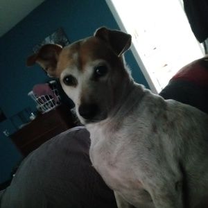 Meet your Posher, Jesse